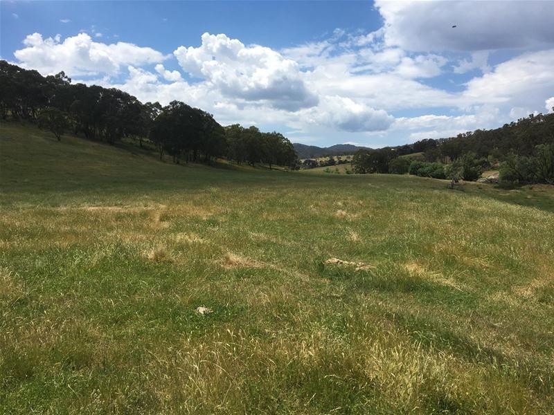 499 Cuthill Road, Sodwalls NSW 2790