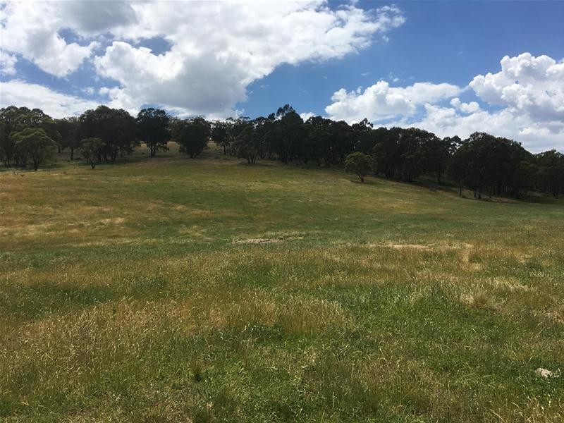 499 Cuthill Road, Sodwalls NSW 2790