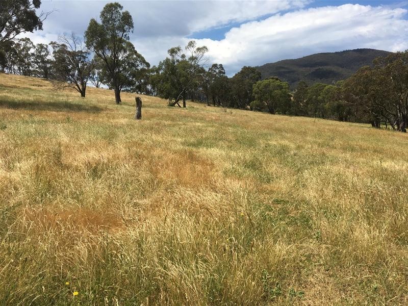 499 Cuthill Road, Sodwalls NSW 2790