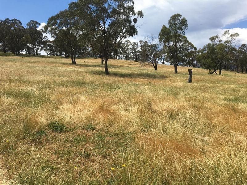 499 Cuthill Road, Sodwalls NSW 2790