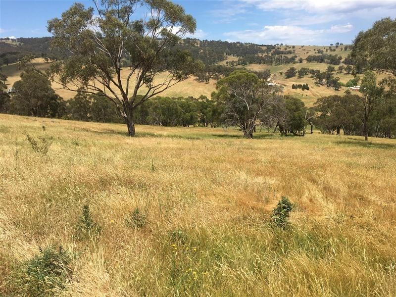 499 Cuthill Road, Sodwalls NSW 2790