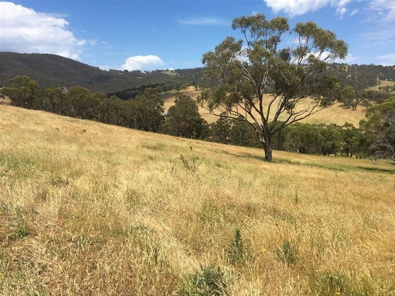 499 Cuthill Road, Sodwalls NSW 2790