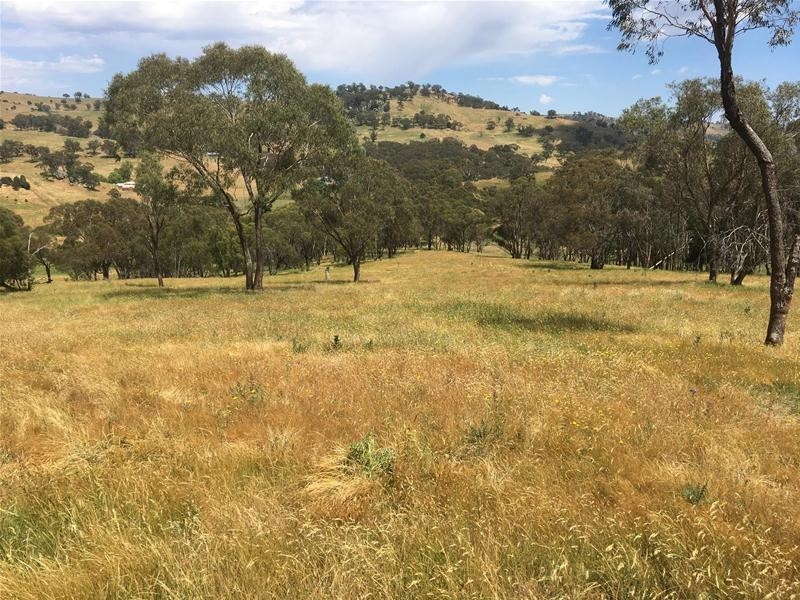 499 Cuthill Road, Sodwalls NSW 2790