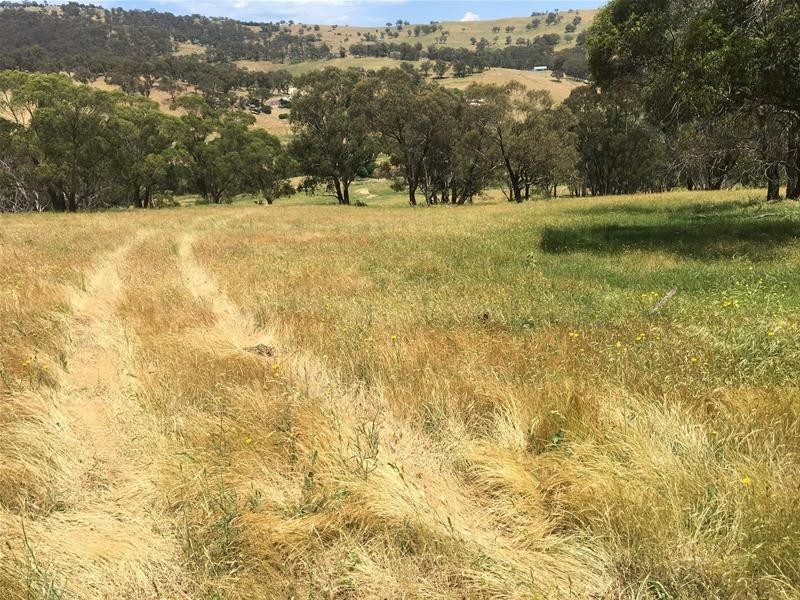 499 Cuthill Road, Sodwalls NSW 2790