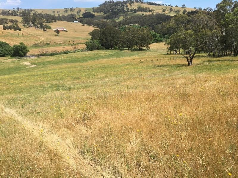 499 Cuthill Road, Sodwalls NSW 2790