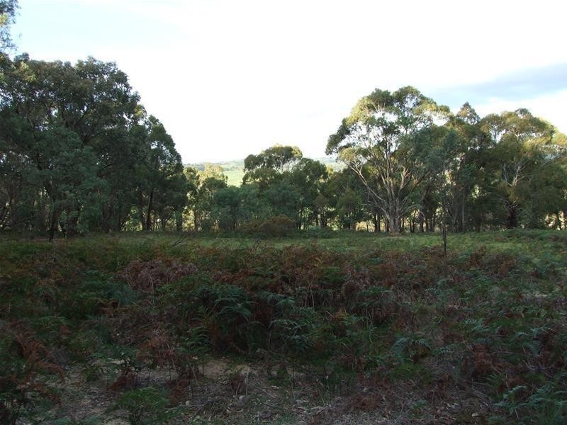5 Hat Hill Lane, Meadow Flat NSW 2795