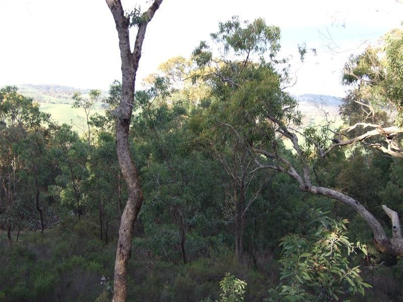 5 Hat Hill Lane, Meadow Flat NSW 2795