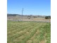 Lot 4, 22 Duckmaloi Road, Oberon NSW 2787