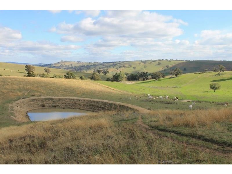 1534 Carcoar Road, Carcoar NSW 2791