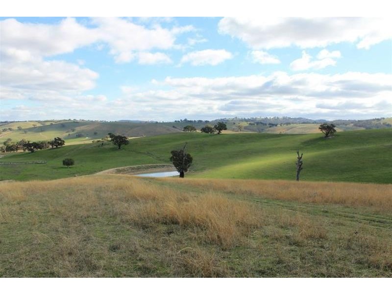 1534 Carcoar Road, Carcoar NSW 2791