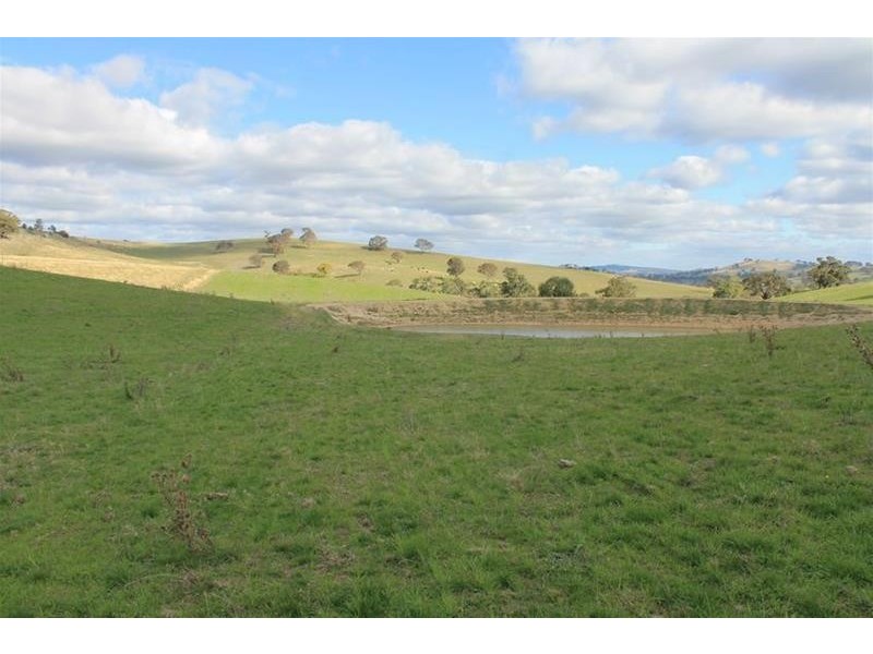 1534 Carcoar Road, Carcoar NSW 2791