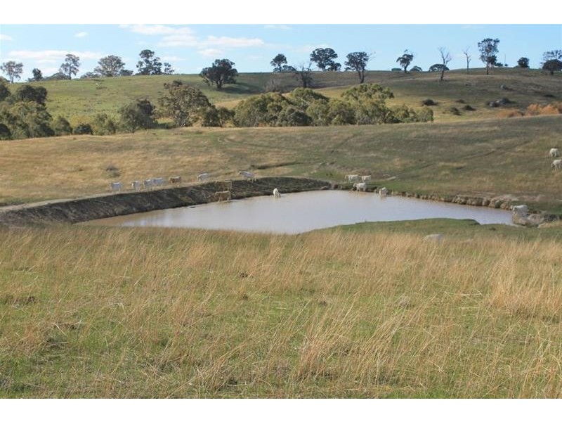 1534 Carcoar Road, Carcoar NSW 2791