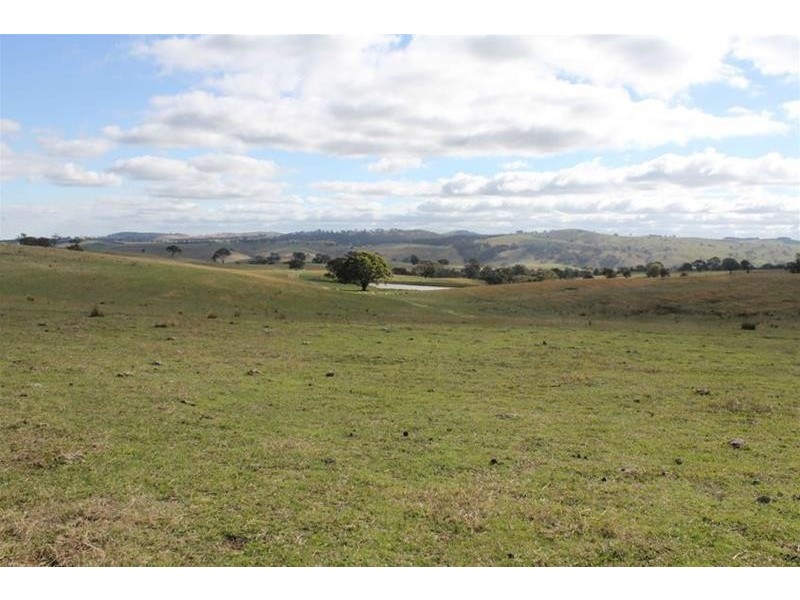 1534 Carcoar Road, Carcoar NSW 2791