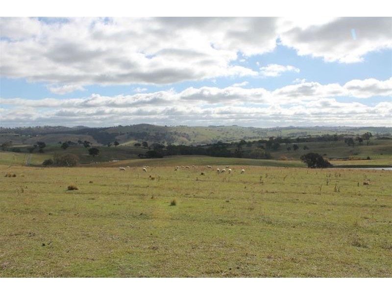 1534 Carcoar Road, Carcoar NSW 2791