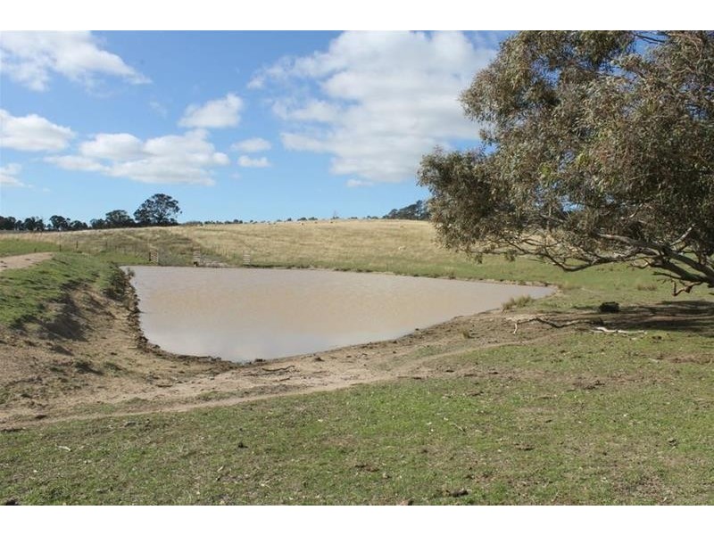 1534 Carcoar Road, Carcoar NSW 2791