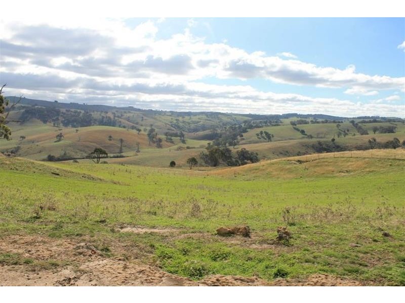 1534 Carcoar Road, Carcoar NSW 2791
