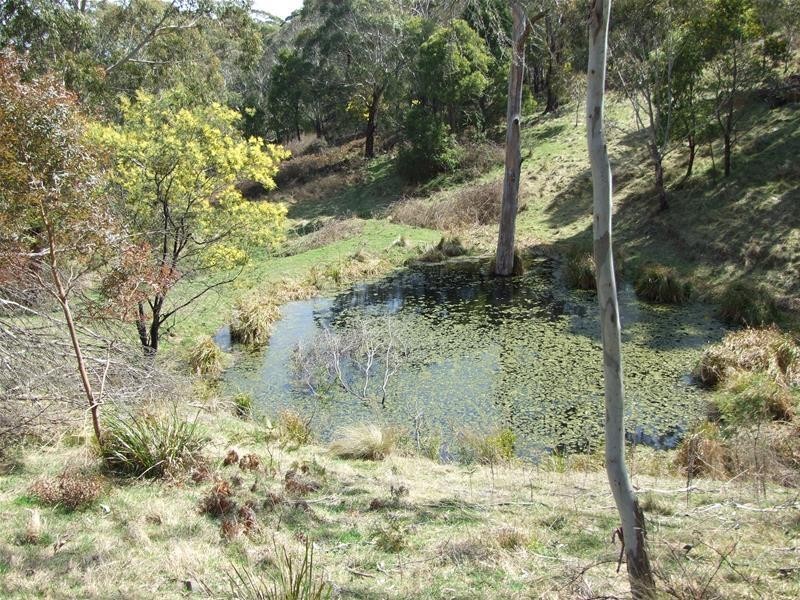 98 Karawina Drive, Hampton NSW 2790