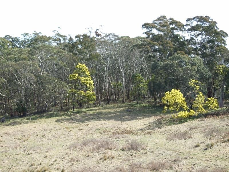 98 Karawina Drive, Hampton NSW 2790