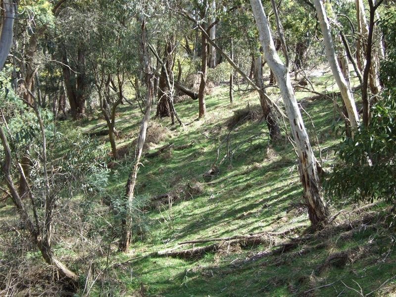 98 Karawina Drive, Hampton NSW 2790