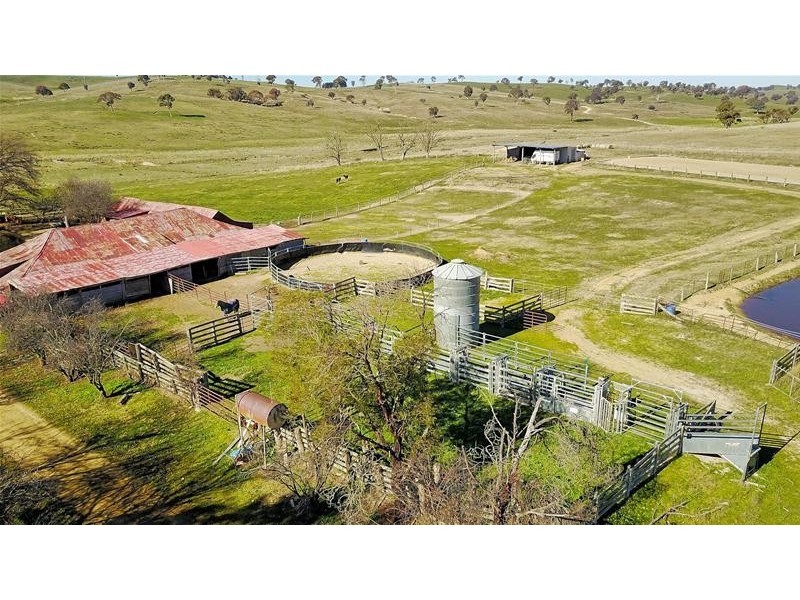 267 Grove Creek Road, Trunkey Creek NSW 2795 First National Bowyer