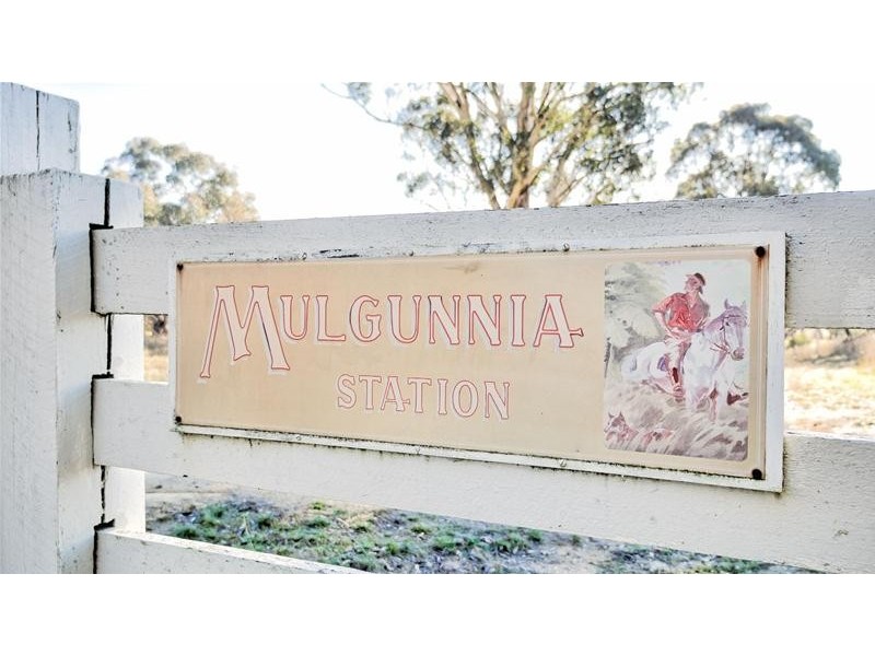 267 Grove Creek Road, Trunkey Creek NSW 2795