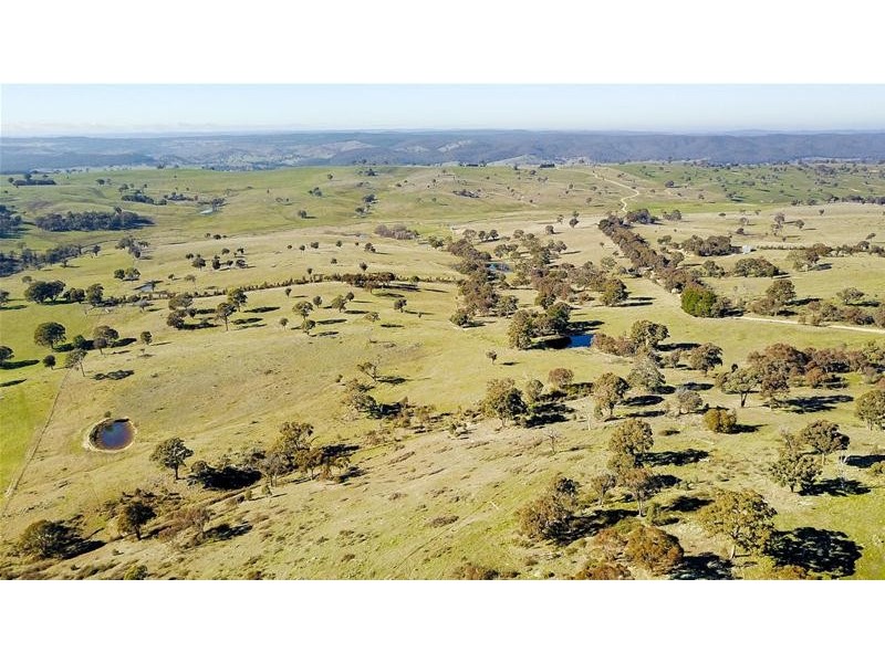 267 Grove Creek Road, Trunkey Creek NSW 2795 First National Bowyer