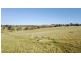 267 Grove Creek Road, Trunkey Creek NSW 2795