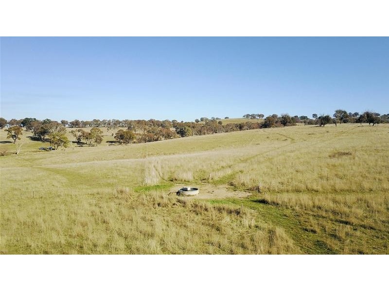 267 Grove Creek Road, Trunkey Creek NSW 2795 First National Bowyer