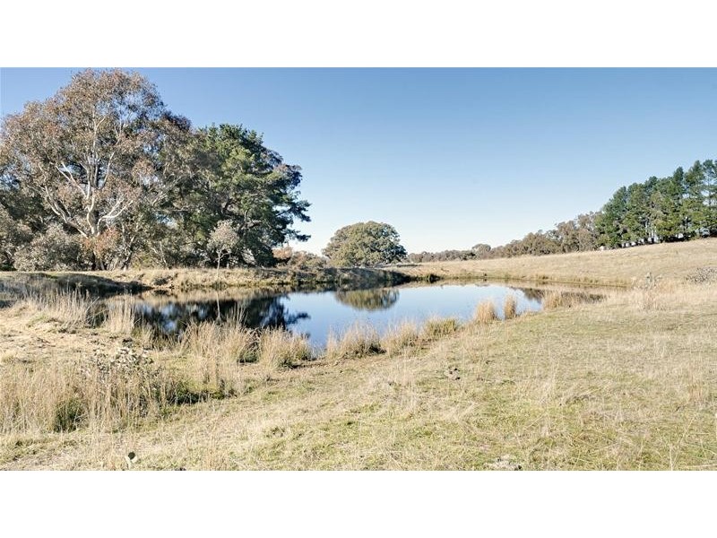 267 Grove Creek Road, Trunkey Creek NSW 2795 First National Bowyer