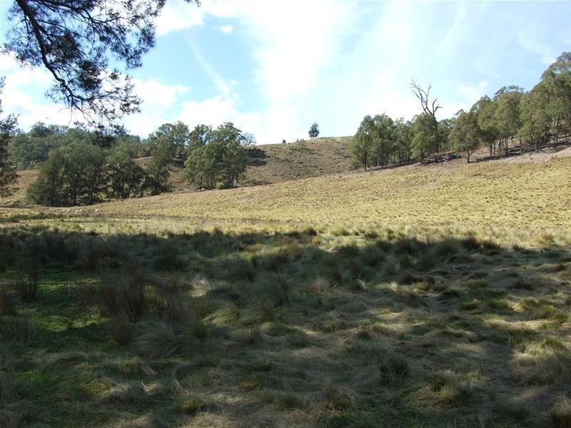 45 Carinya Close, Kanimbla NSW 2790