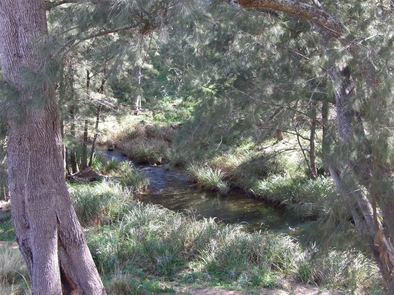 45 Carinya Close, Kanimbla NSW 2790