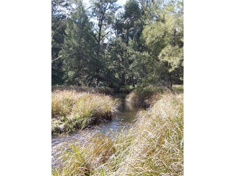 45 Carinya Close, Kanimbla NSW 2790