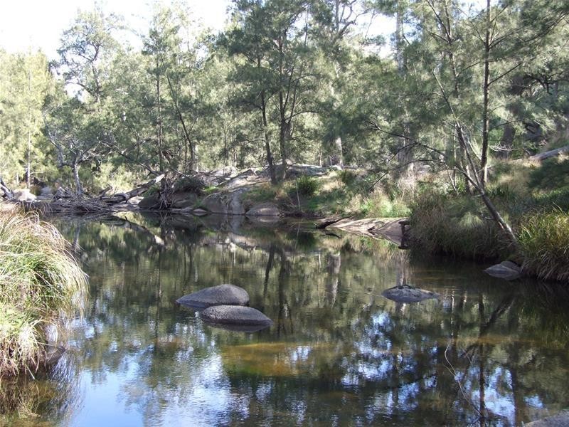 45 Carinya Close, Kanimbla NSW 2790