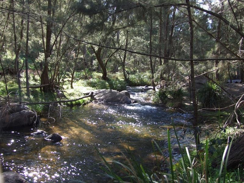 45 Carinya Close, Kanimbla NSW 2790