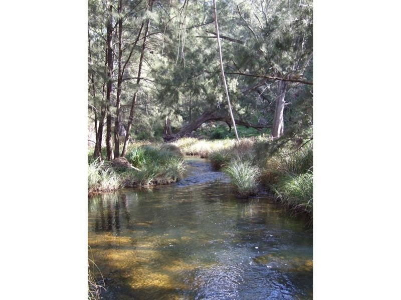 45 Carinya Close, Kanimbla NSW 2790