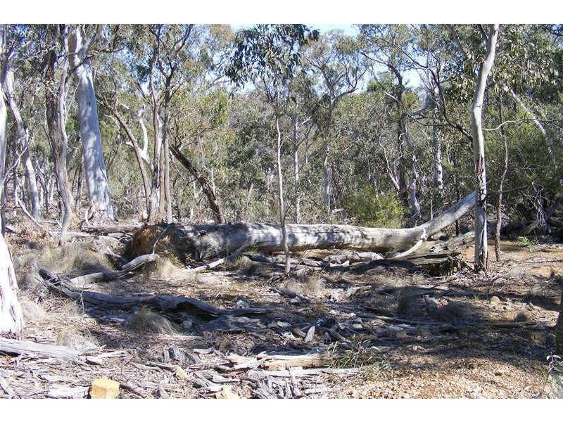 876 The Glen Road, Oberon NSW 2787