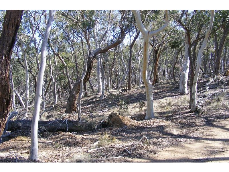 876 The Glen Road, Oberon NSW 2787