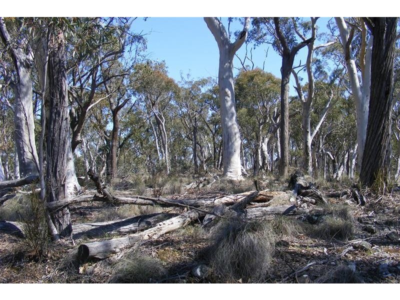 876 The Glen Road, Oberon NSW 2787