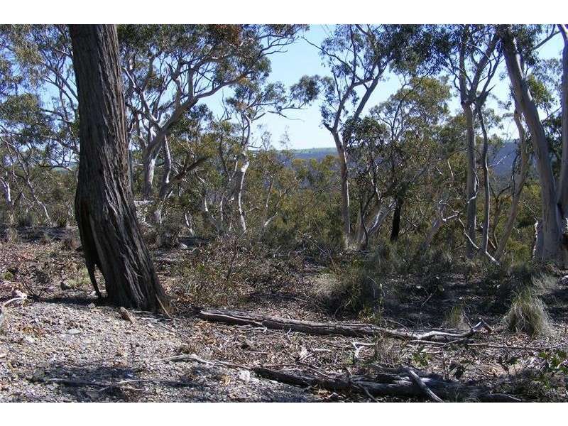 876 The Glen Road, Oberon NSW 2787