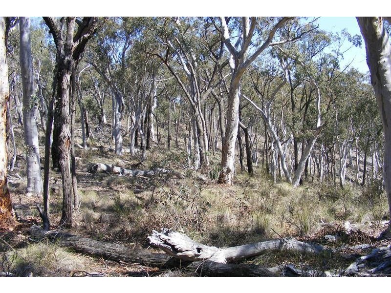 876 The Glen Road, Oberon NSW 2787