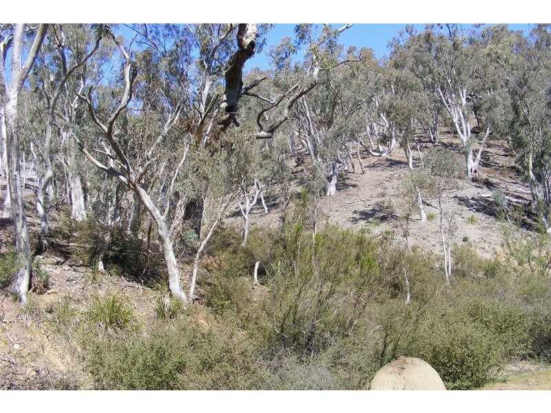 876 The Glen Road, Oberon NSW 2787