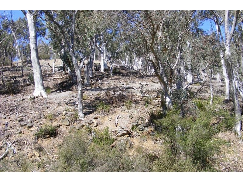 876 The Glen Road, Oberon NSW 2787