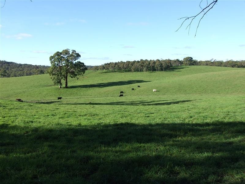 240 Black Bullock Road, Oberon NSW 2787