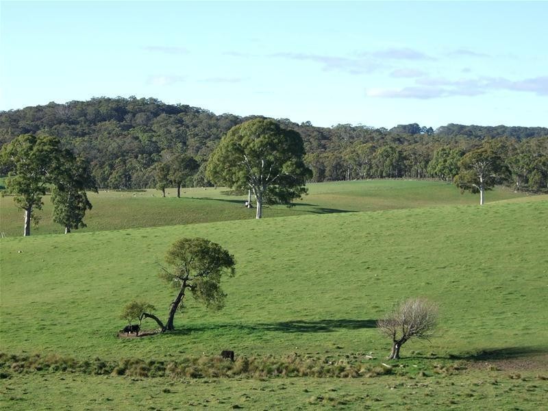 240 Black Bullock Road, Oberon NSW 2787