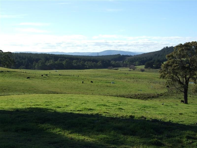 240 Black Bullock Road, Oberon NSW 2787