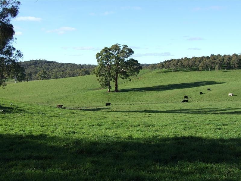 240 Black Bullock Road, Oberon NSW 2787