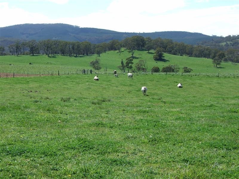 20 Junction Road, Oberon NSW 2787