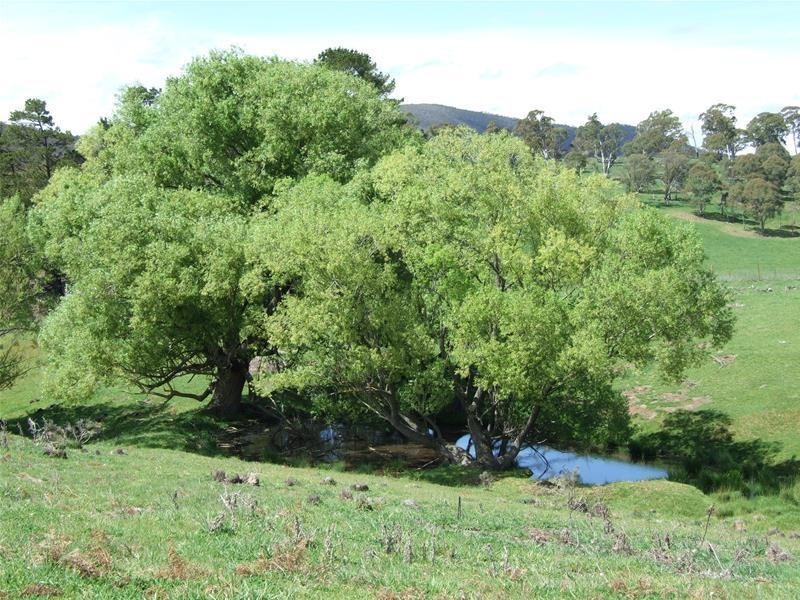 20 Junction Road, Oberon NSW 2787