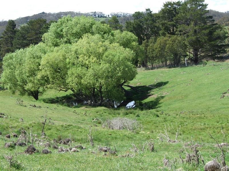 20 Junction Road, Oberon NSW 2787