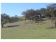 638 Cuthill Road, Oberon NSW 2787